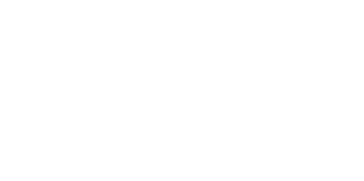 STC Logo